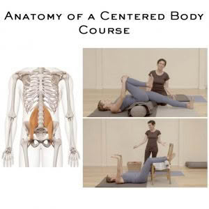 Yoga for Core Integration - Enhancing Structural Balance for Pain-Free Living