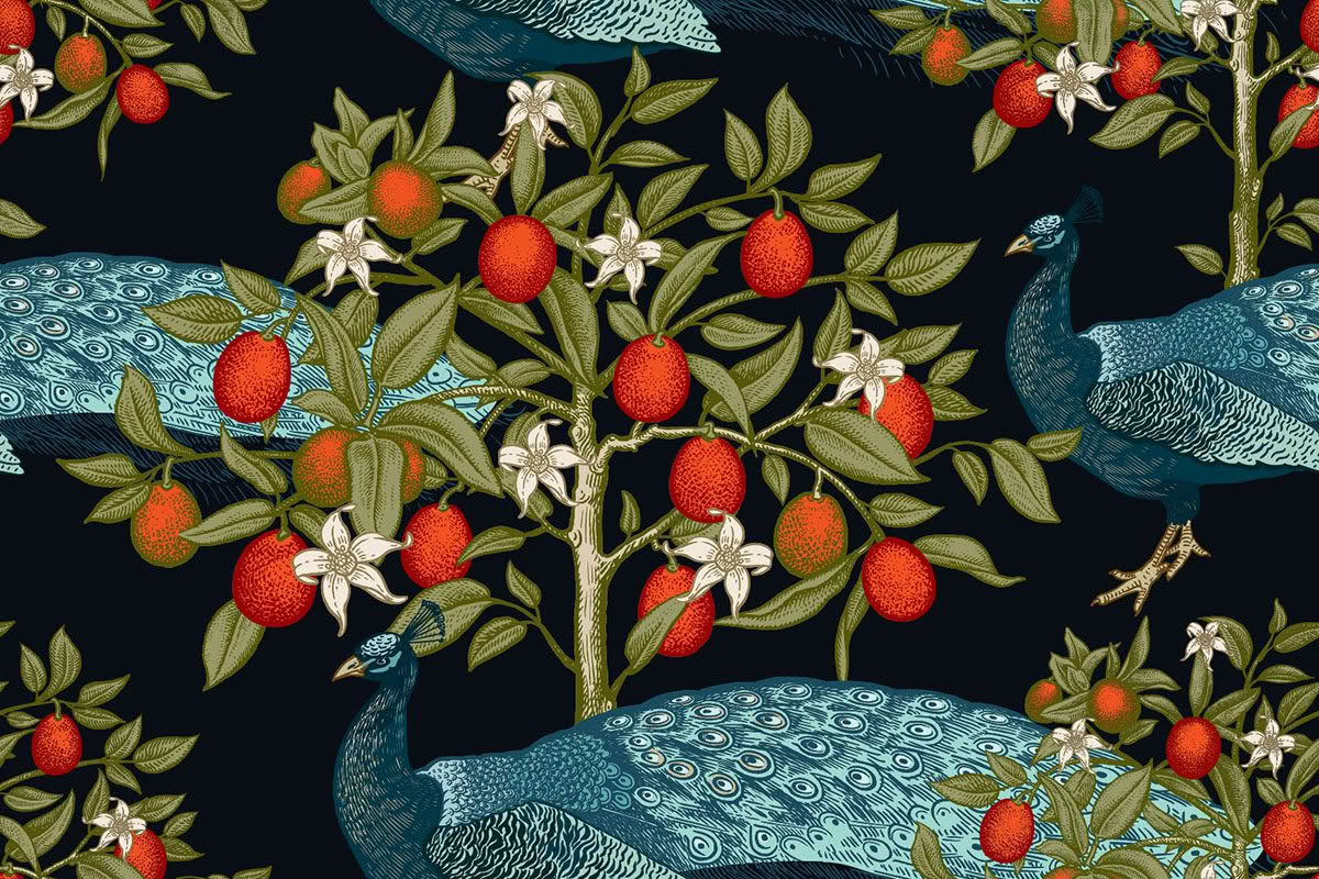 kumquat copy