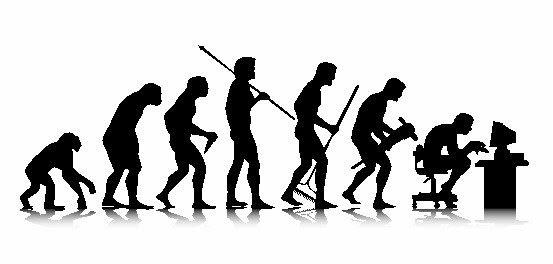 Evolution-De-evolution Human Spinal Evolution