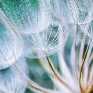 Series 2 - Class #02 with Donna: Movement as Meditation