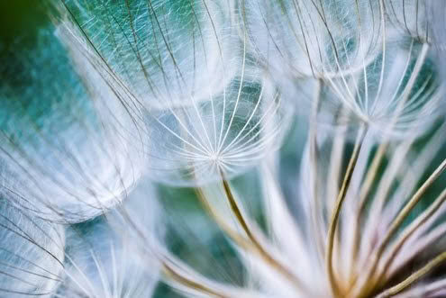 Series 2 - Class #02 with Donna: Movement as Meditation