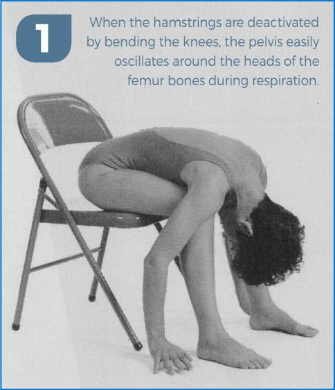 Extended Foot Pose (Prasarita Padottanasana) Prep With Donna Farhi