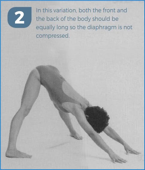 Extended Foot Pose (Prasarita Padottanasana) Variation With Donna Farhi