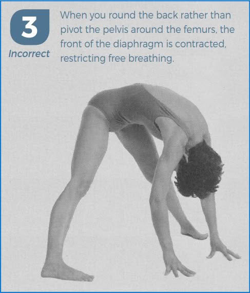 Extended Foot Pose (Prasarita Padottanasana) Prep With Donna Farhi