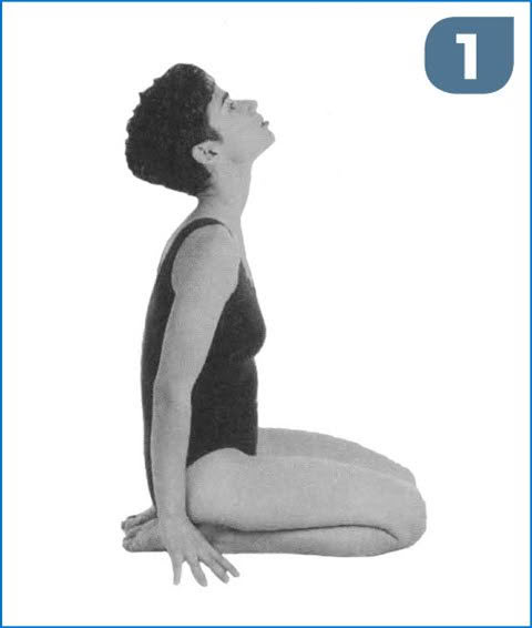 Four Limbed Stick Pose (Chaturanga Dandasana) Prep With Donna Farhi Strength, Stamina and Spinal Integrity