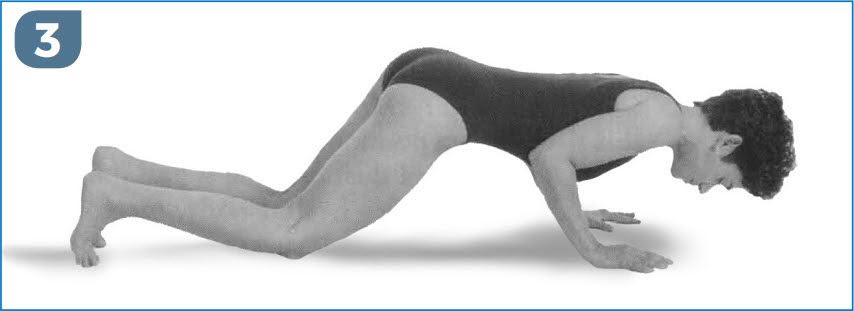 Four Limbed Stick Pose (Chaturanga Dandasana) Prep With Donna Farhi Strength, Stamina and Spinal Integrity