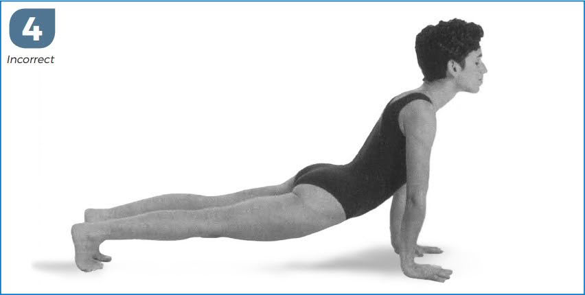 Four Limbed Stick Pose (Chaturanga Dandasana) Prep With Donna Farhi