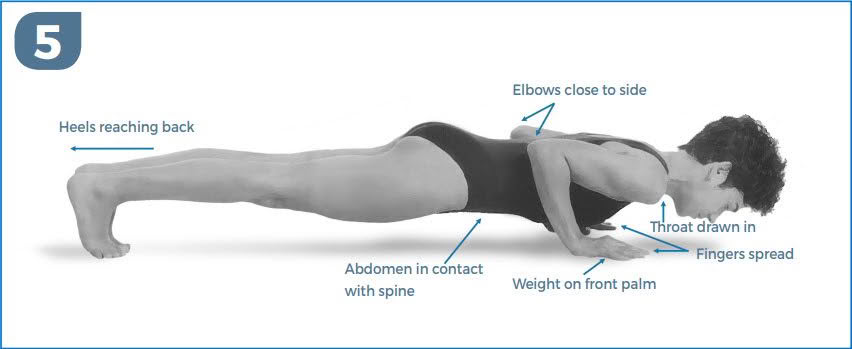 Four Limbed Stick Pose (Chaturanga Dandasana) With Donna Farhi Strength, Stamina and Spinal Integrity
