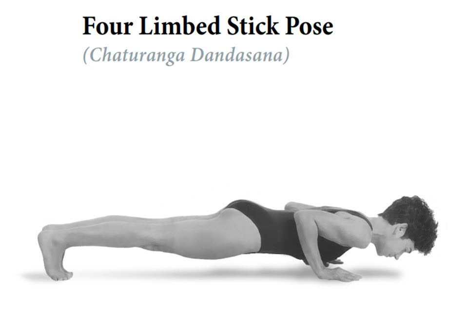 Four Limbed Stick Pose Preparation Strength, Stamina and Spinal Integrity