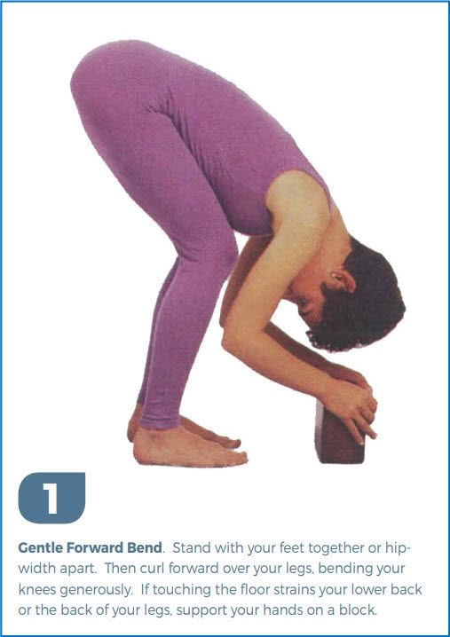 Half Moon Pose (Ardha Chandrasana) Prep With Donna Farhi Ardha Chandrasana Step 1