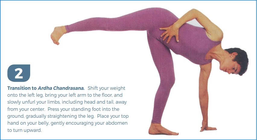 Half Moon Pose (Ardha Chandrasana) Prep With Donna Farhi Ardha Chandrasana Step 2