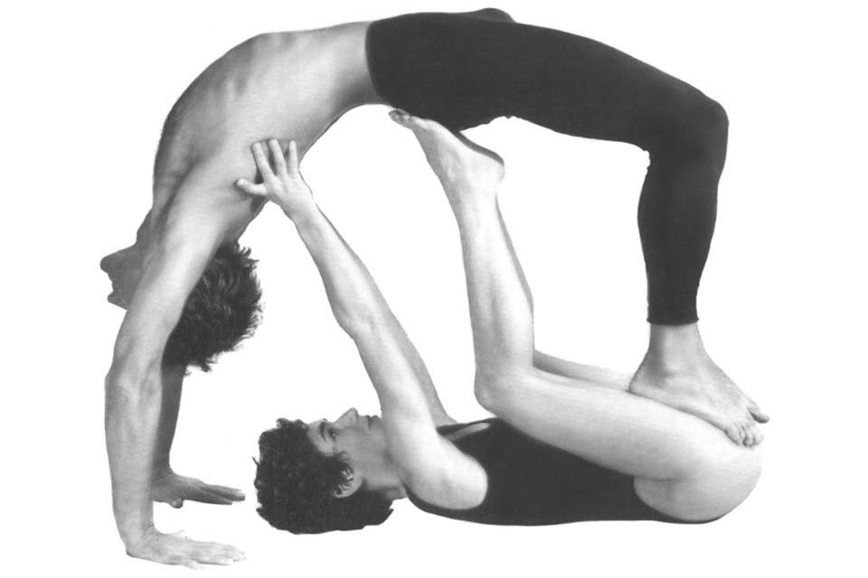 the pleasures of partnerwork-blog