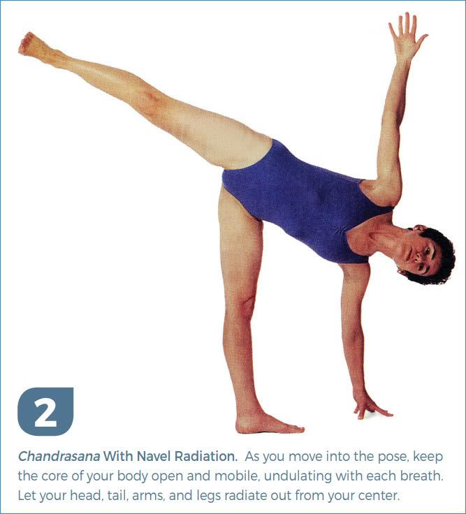 A Blueprint for Optimal Movement with Donna Farhi Image 2 A Blueprint for Optimal Movement