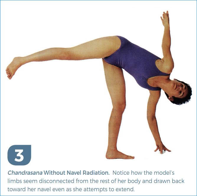 A Blueprint for Optimal Movement with Donna Farhi Image 3 A Blueprint for Optimal Movement