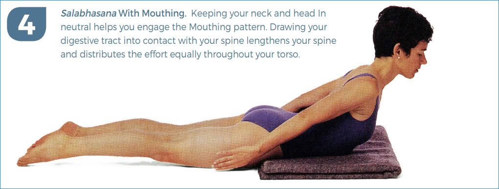 A Blueprint for Optimal Movement with Donna Farhi Image 4 A Blueprint for Optimal Movement