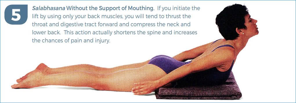 a blueprint for optimal movement prep #05 - 1020x357