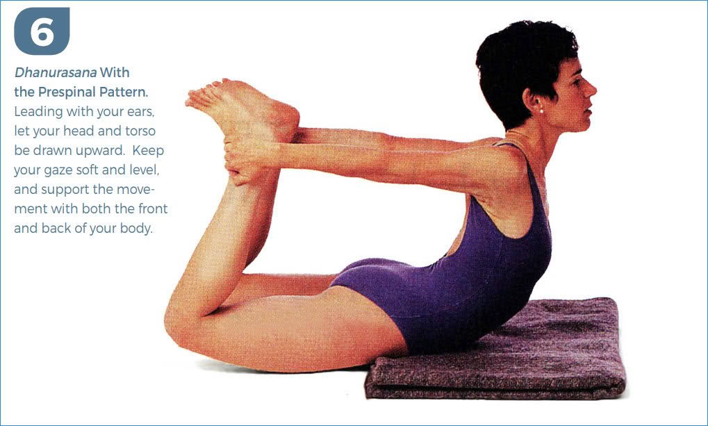 A Blueprint for Optimal Movement with Donna Farhi A Blueprint for Optimal Movement
