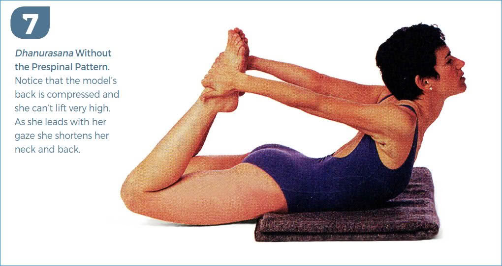 A Blueprint for Optimal Movement with Donna Farhi A Blueprint for Optimal Movement