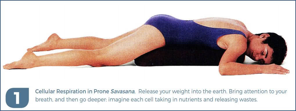 A Blueprint for Optimal Movement with Donna Farhi Image 1 A Blueprint for Optimal Movement