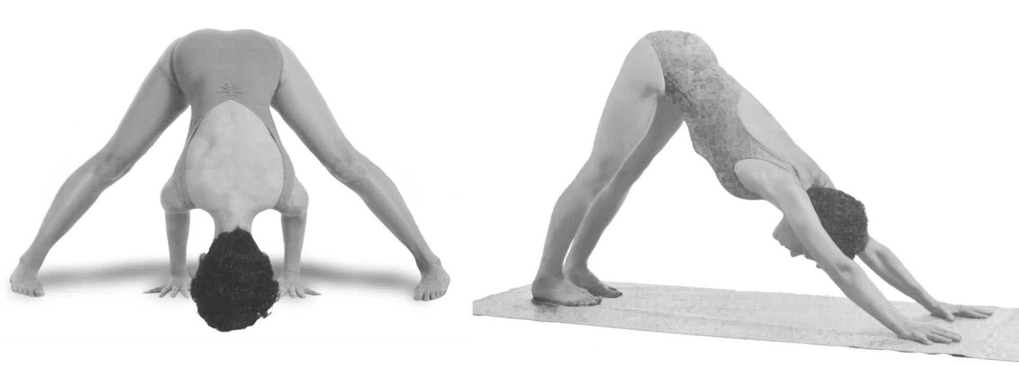 extended foot pose-downward dog combo New Insights-Two Classics
