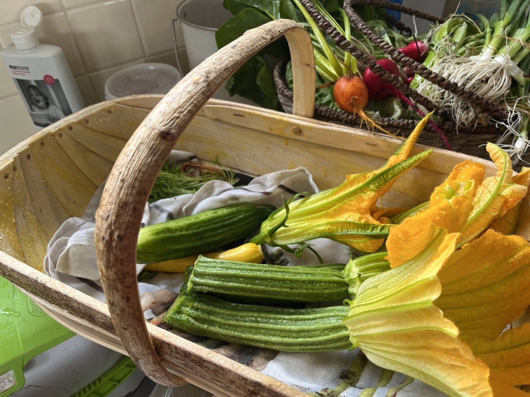 Vegetable Basket