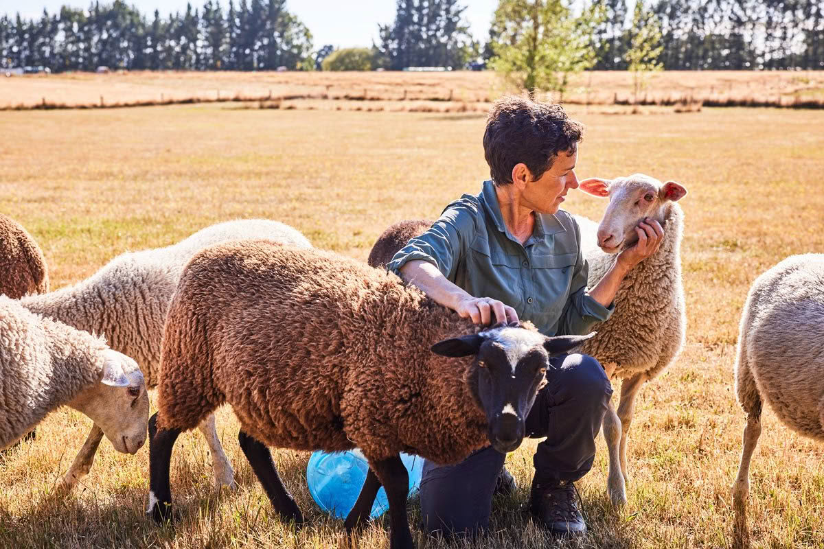 Donna_Rhada_White-1200x800 Donna with two sheep