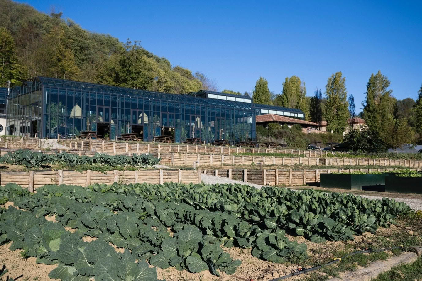 2025-11-07 #17 Nth-Italy-vege-patch